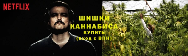 мяу мяу мука Абаза