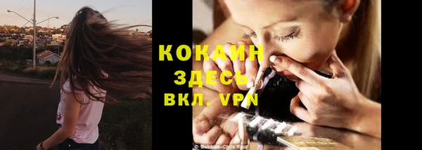 мяу мяу мука Абаза